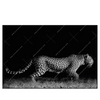 Xxl Wandbild Wilder Leopard Querformat Produktvorschau Frontal