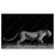 Xxl Wandbild Wilder Leopard Querformat Produktvorschau Frontal