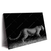 Xxl Wandbild Wilder Leopard Querformat Produktvorschau Seitlich