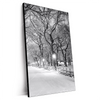 Xxl Wandbild Wintermorgen Im Central Park Hochformat Produktvorschau Seitlich