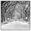 Xxl Wandbild Wintermorgen Im Central Park Quadrat Produktvorschau Frontal