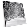 Xxl Wandbild Wintermorgen Im Central Park Quadrat Produktvorschau Seitlich
