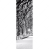 Xxl Wandbild Wintermorgen Im Central Park Schmal Motivvorschau
