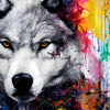 Xxl Wandbild Wolf Mit Bunten Farbspritzern Quadrat Motivvorschau