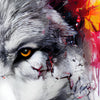 Xxl Wandbild Wolf Mit Bunten Farbspritzern Quadrat Zoom