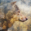 Xxl Wandbild Wolf Wald No 2 Hochformat Zoom