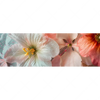Xxl Wandbild Zarte Bluetenpracht Panorama Motivvorschau