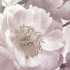 Xxl Wandbild Zarte Blumen Hochformat Zoom