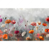 Xxl Wandbild Zarte Mohnblumen Im Wind Querformat Motivvorschau