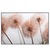 Xxl Wandbild Zarte Pusteblume Querformat Produktvorschau Frontal