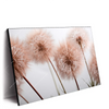 Xxl Wandbild Zarte Pusteblume Querformat Produktvorschau Seitlich