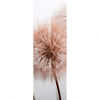 Xxl Wandbild Zarte Pusteblume Schmal Motivvorschau