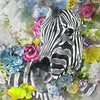Xxl Wandbild Zebra Blumen Quadrat Motivvorschau