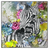 Xxl Wandbild Zebra Blumen Quadrat Produktvorschau Frontal