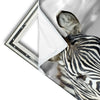 Xxl Wandbild Zebra In Afrika Hochformat Materialvorschau