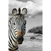 Xxl Wandbild Zebra In Afrika Hochformat Motivvorschau