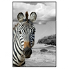 Xxl Wandbild Zebra In Afrika Hochformat Produktvorschau Frontal