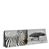 Xxl Wandbild Zebra In Afrika Panorama Produktvorschau Seitlich
