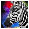 Xxl Wandbild Zebra Pop Art No 1 Quadrat Produktvorschau Frontal