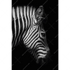 Xxl Wandbild Zebra Schwarzweiss Hochformat Motivvorschau