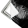 Xxl Wandbild Zebra Schwarzweiss Quadrat Materialvorschau