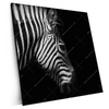 Xxl Wandbild Zebra Schwarzweiss Quadrat Produktvorschau Seitlich