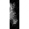Xxl Wandbild Zebra Schwarzweiss Schmal Motivvorschau