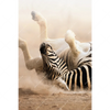 Xxl Wandbild Zebra Staub Hochformat Motivvorschau