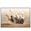Xxl Wandbild Zebra Staub Querformat Produktvorschau Frontal