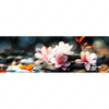 Xxl Wandbild Zen Steine Mit Blumen Panorama Motivvorschau