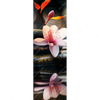 Xxl Wandbild Zen Steine Mit Blumen Schmal Motivvorschau