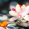 Xxl Wandbild Zen Steine Mit Blumen Schmal Zoom
